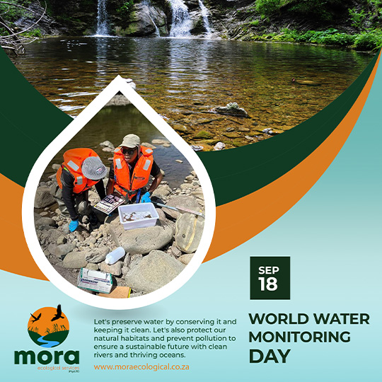 Environmental Awareness Flyer 3