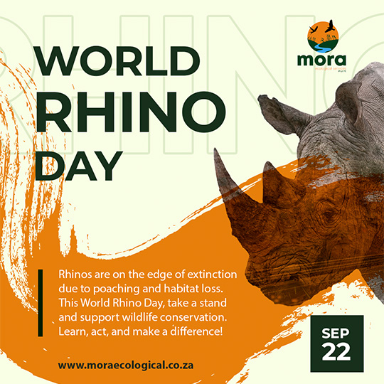 Environmental Awareness Flyer 3