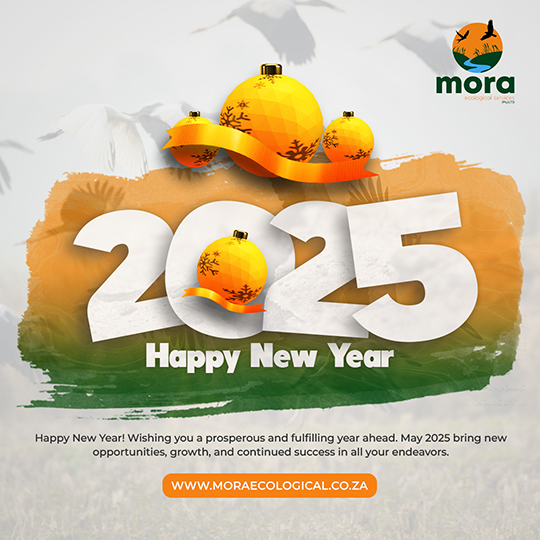 Public Holidays Flyer 1