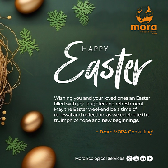 Public Holidays Flyer 3